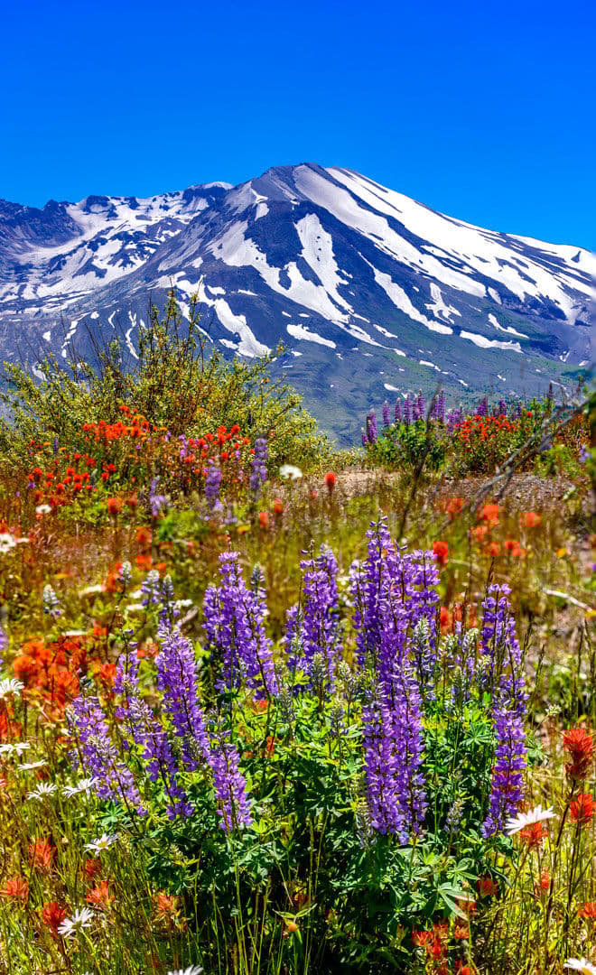 Le Mont Saint Helens